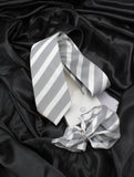 Neck Tie and Pocket Square Set for Men