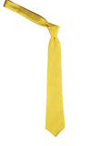 Neck Tie and Pocket Square Set for Men