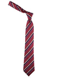 Neck Tie and Pocket Square Set for Men