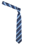 Neck Tie and Pocket Square Set for Men