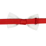 Bowtie for Men