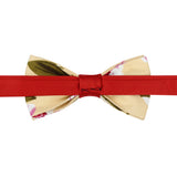 Bowtie for Men