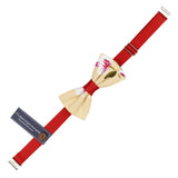 Bowtie for Men