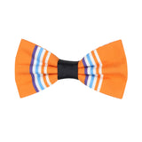 Bowtie for Men