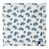 Pocket Squares for Men