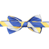 Peluche Striped Mantle Blue & Yellow Bow Tie