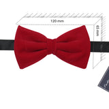 Bowtie for Men
