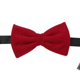 Bowtie for Men