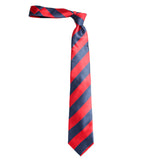Neck Tie and Pocket Square Set for Men