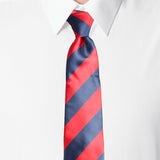 Neck Tie and Pocket Square Set for Men