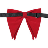 Bowtie for Men