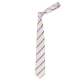Neck Tie and Pocket Square Set for Men