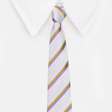 Neck Tie and Pocket Square Set for Men