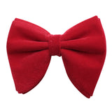Bowtie for Men