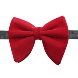 Bowtie for Men