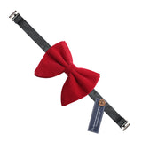 Bowtie for Men