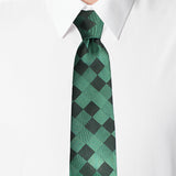 Neck Tie and Pocket Square Set for Men