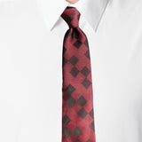 Neck Tie and Pocket Square Set for Men