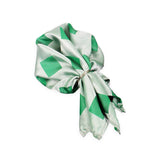 Neck Tie and Pocket Square Set for Men