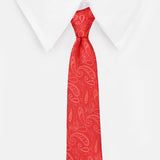 Neck Tie and Pocket Square Set for Men