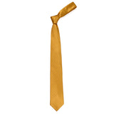 Neck Tie and Pocket Square Set for Men