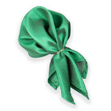 Neck Tie and Pocket Square Set for Men