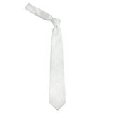 Neck Tie and Pocket Square Set for Men