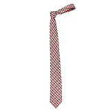 Neck Tie and Pocket Square Set for Men