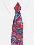 Peluche Beautifully Crafted Necktie For Men