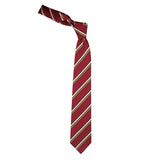 Peluche Elegant And Classy Necktie For Men