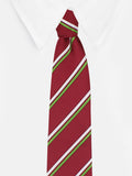 Peluche Elegant And Classy Necktie For Men