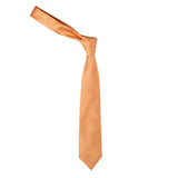 Peluche Elegant Self designed Necktie For Men