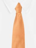 Peluche Elegant Self designed Necktie For Men