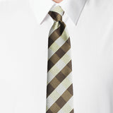 Neck Tie and Pocket Square Set for Men