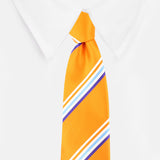 Peluche Snappy Striped Orange Neck Tie For Men
