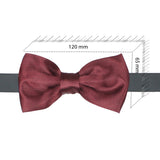 Kavove Solid Essentials Wine Bow Tie