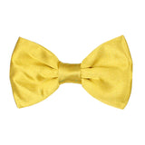 Kavove Solid Essentials Golden Bow Tie