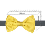 Kavove Solid Essentials Golden Bow Tie