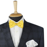 Kavove Solid Essentials Golden Bow Tie