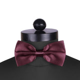 Peluche Azured Wine Colour Cummerbund & Bow Tie Set