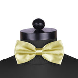 Peluche Golden Rendezvous Cummerbund & Bow Tie Set