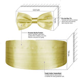 Peluche Golden Rendezvous Cummerbund & Bow Tie Set