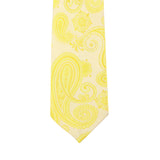 Neck Tie and Pocket Square Set for Men