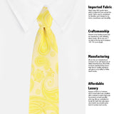 Neck Tie and Pocket Square Set for Men