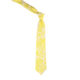 Neck Tie and Pocket Square Set for Men