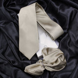 Neck Tie and Pocket Square Set for Men