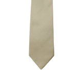Neck Tie and Pocket Square Set for Men