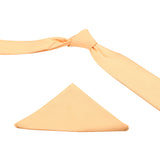 Neck Tie and Pocket Square Set for Men