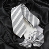 Neck Tie and Pocket Square Set for Men