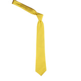 Neck Tie and Pocket Square Set for Men
